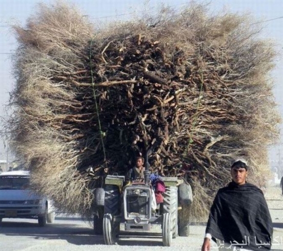 ئەمە بارهەڵگرە یان خیوەتە !